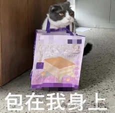 Need is all you need:AI接手Coding后,程序员最值钱的能力只剩这一项?