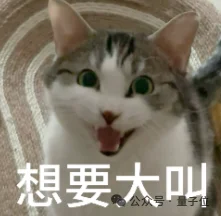 一只机器狗,把英伟达的算力王座拱翻了