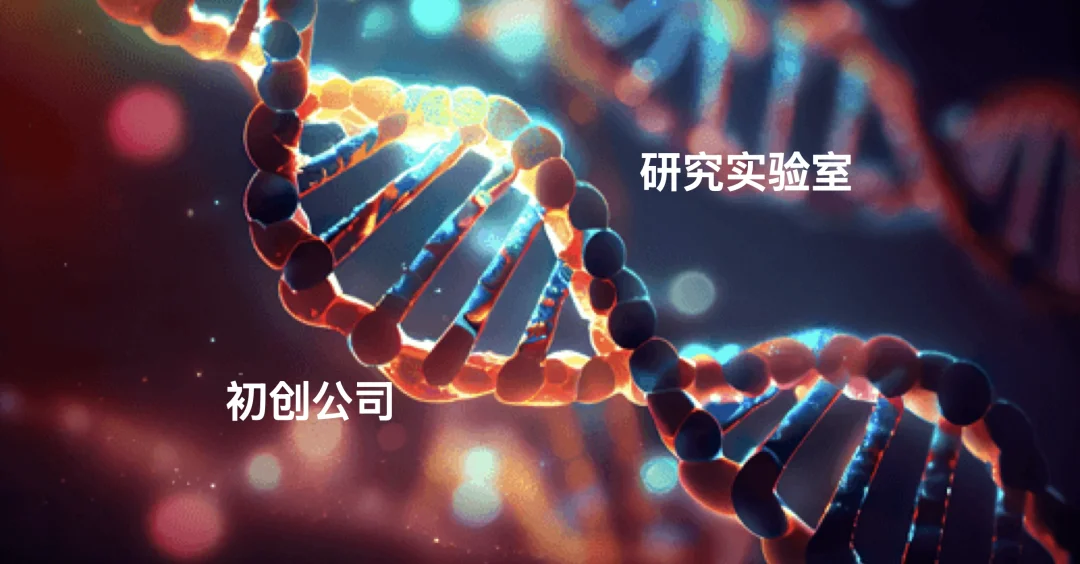 万字深度:硅谷正疯狂豪赌这63家神秘AI实验室|亮马桥小纪严选