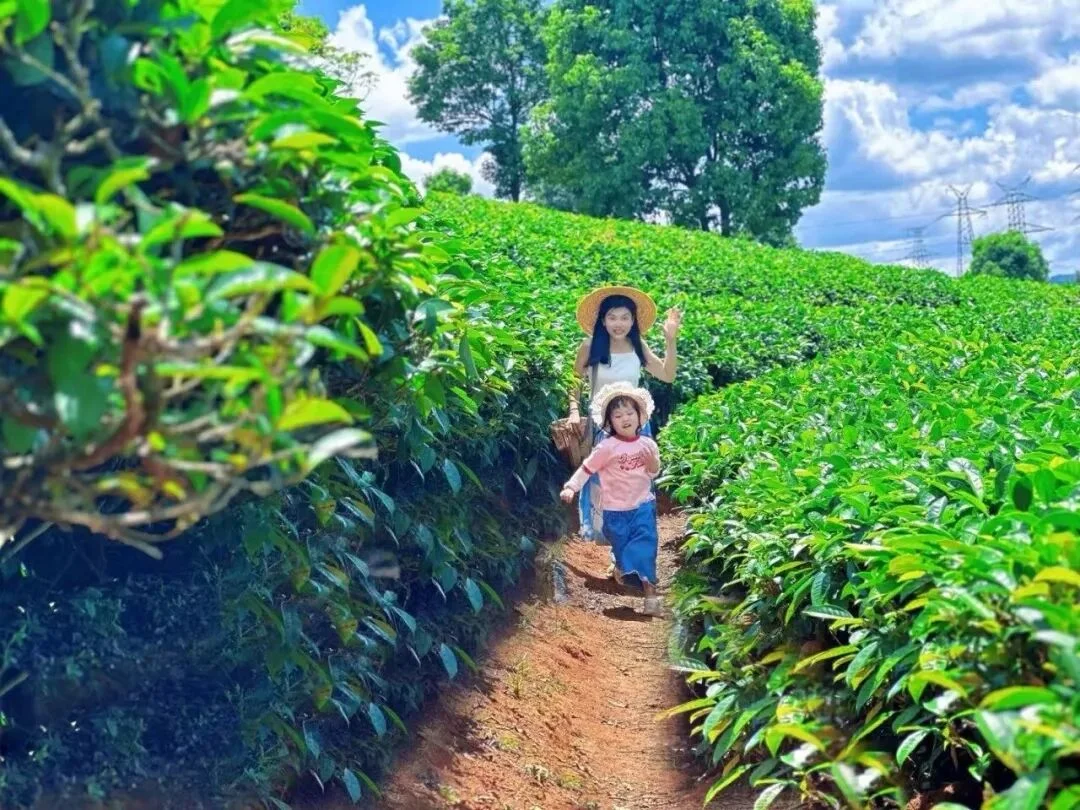 用AI带娃的第一批父母已后悔